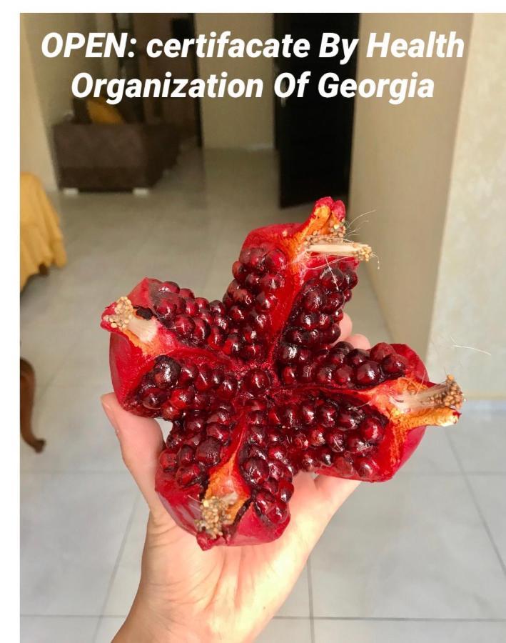 Pomegranate Hotel 쿠타이시 외부 사진